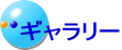ギャラリー