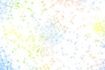 レースフラワー