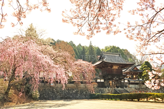 蔵澤寺　駒ケ根市