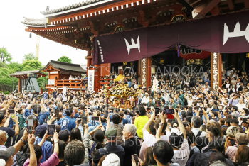 三社祭り４