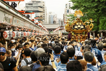 三社祭り１