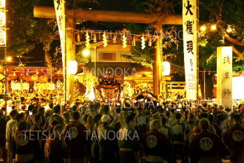 三社祭り９