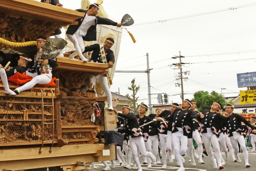 だんじり祭り９