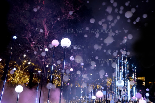 イルミネーション2