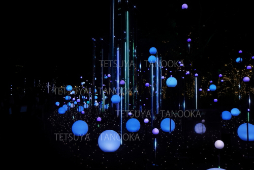 イルミネーション3