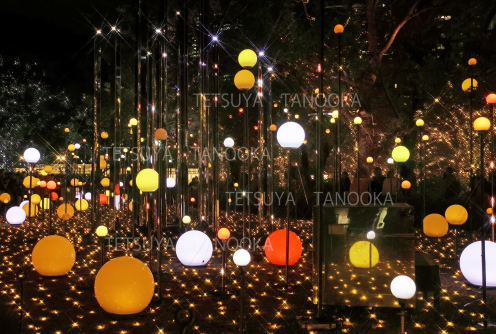 イルミネーション1