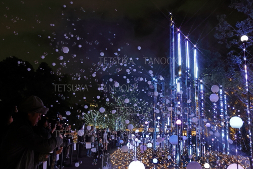 イルミネーション5