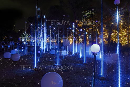 イルミネーション4