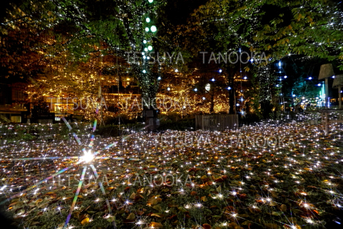 イルミネーション6