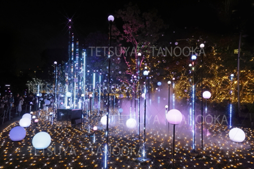 イルミネーション7