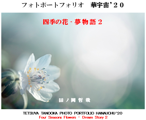 写真集２０２０
