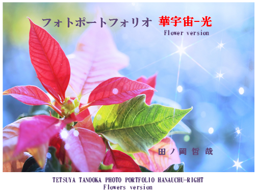 写真集２０２３