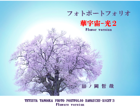 写真集２０２４
